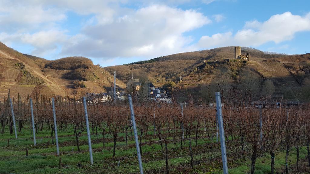 ホテル Ferienweingut Arnold Fuhrmann & Sohn エレンツ・ポルタースドルフ エクステリア 写真